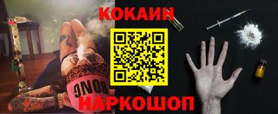 сатива Новодвинск