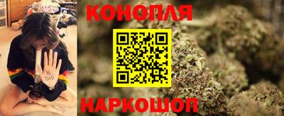 сатива Новодвинск