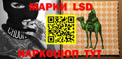ПСИЛОЦИБИНОВЫЕ ГРИБЫ Новокубанск