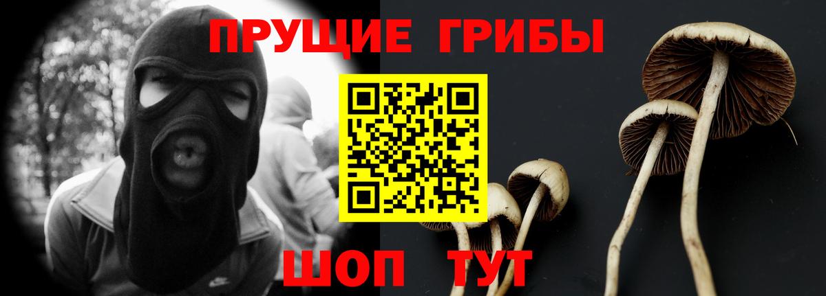 Псилоцибиновые грибы мицелий  Вход с VPN  Сафоново  Псилоцибиновые грибы мухоморы 